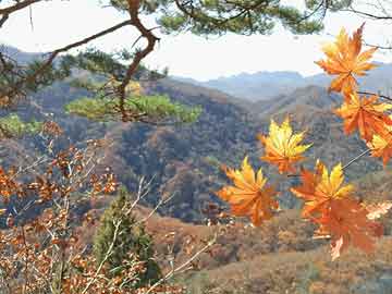 印度毛派最新動態(tài)深度解析，2017年的發(fā)展及其影響